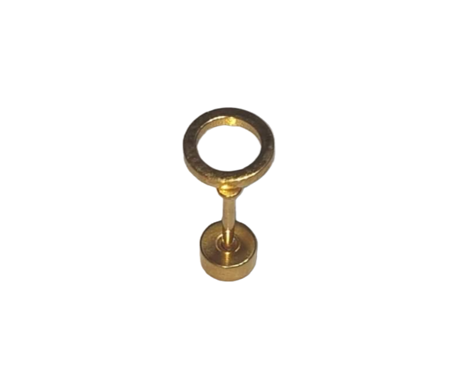 Boucle d'oreille cercle